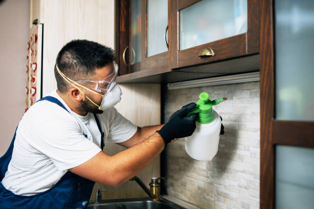 Best Best Pest Control Companies  in West Bountiful, UT