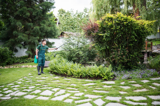 Best Pest Removal Services  in West Bountiful, UT