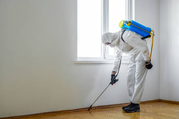 Best Bed Bug Extermination  in West Bountiful, UT