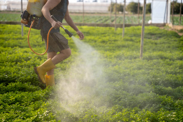 Best Commercial Pest Control Services  in West Bountiful, UT