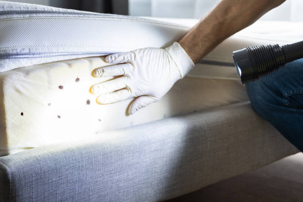 Best Wildlife Control Services  in West Bountiful, UT