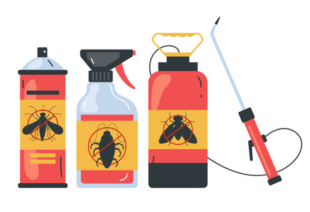 Best Spider Control Near Me  in West Bountiful, UT