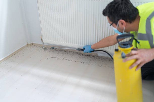 Best Pest Prevention Services  in West Bountiful, UT