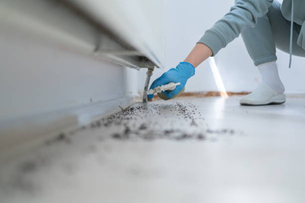 Best Pest Control for Businesses  in West Bountiful, UT