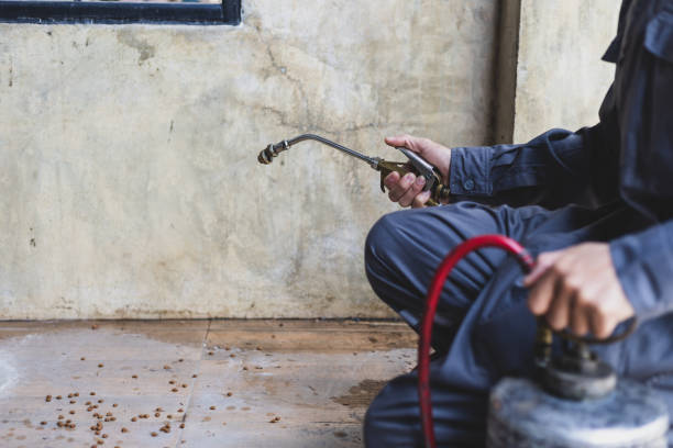 Best Exterminator Services  in West Bountiful, UT